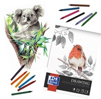 Tekenblok Oxford Drawing A3 40 vel 160 gram-3