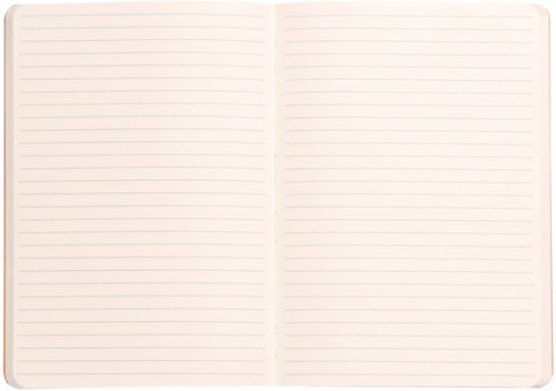 Notitieboek Rhodia A6 lijn 72 vel 90gr zwart-3