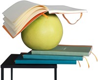 Notitieboek Rhodia A5 lijn 80 vel 90gr celadon-2