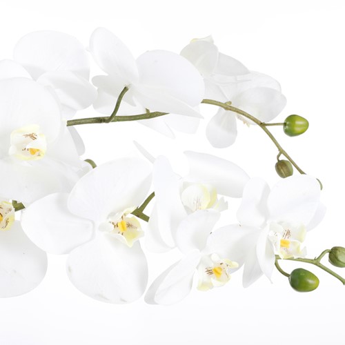 Kunstplant Mica Phalaenopsis orchideeën wit in plastic pot 79x51cm-1