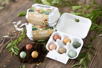 Giftbox Blossombs bloemen eierdoosje à 6 zaadbommetjes-3
