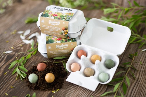 Giftbox Blossombs bloemen eierdoosje à 6 zaadbommetjes-3