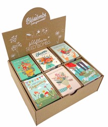 Giftbox Blossombs bloemen assorti display à 24 zaadbommetjes