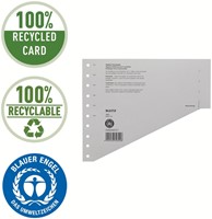 Scheidingsbladen Leitz A4 karton 200gr 11-gaats grijs 100 stuks-10