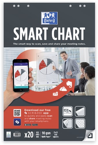 Flipoverpapier Oxford smart 650x980mm ruit 90 gram 20 vel-1